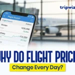 Flight Prices Change Every Day
